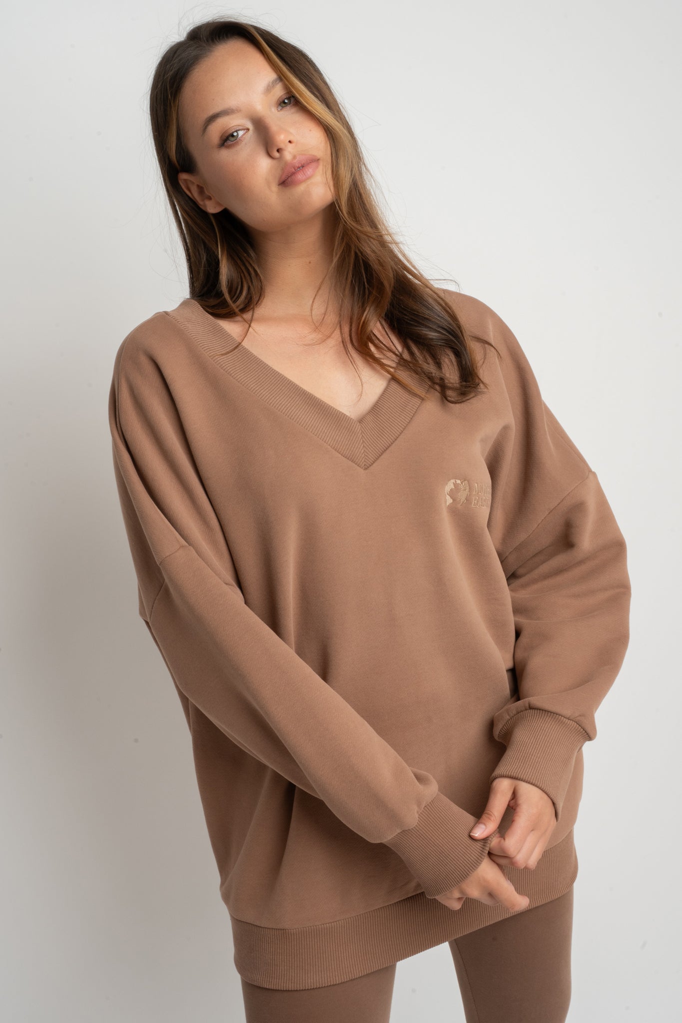 BROWN OVERSIZED V-NECK SWEATSHIRT – BISCOE